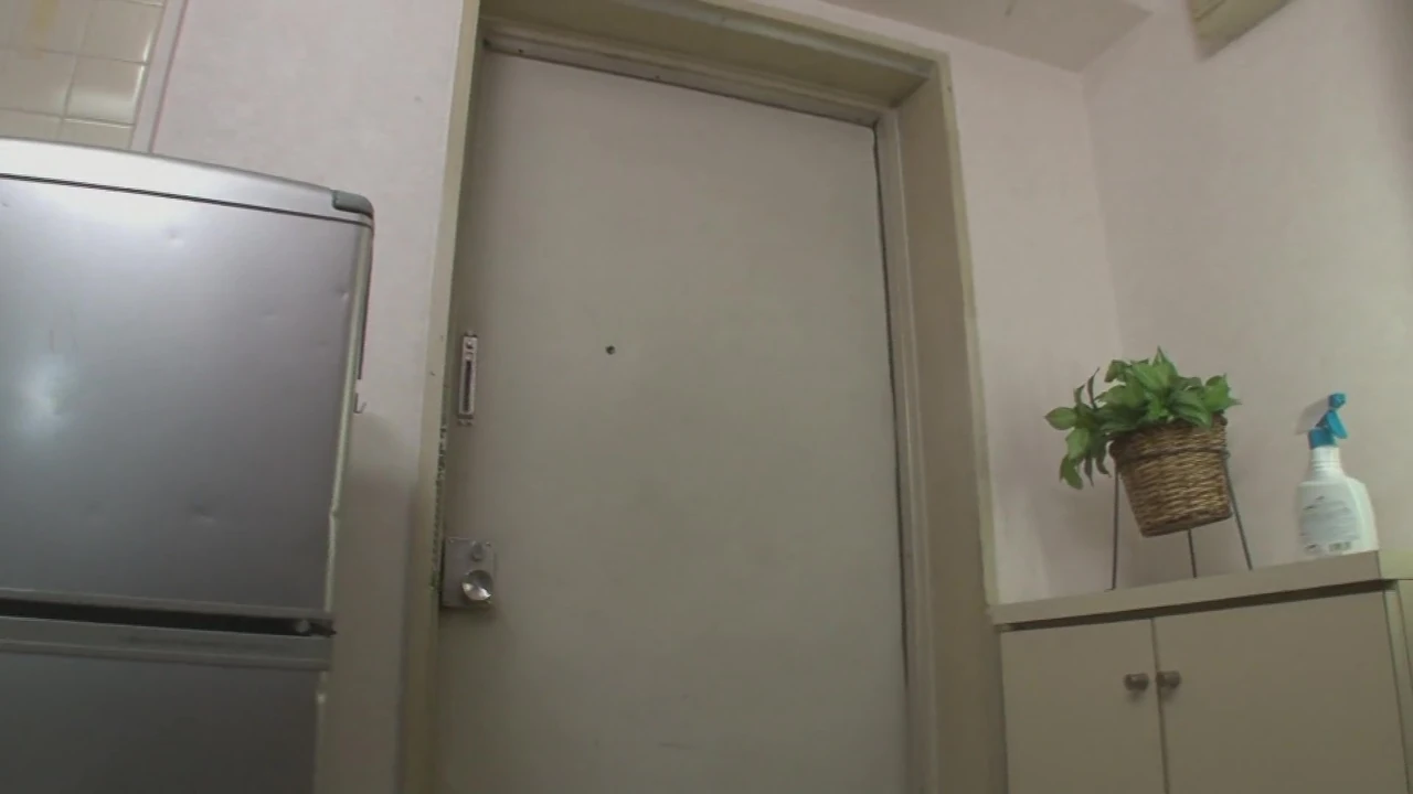 The pretty girl from the pizza delivery service is seduced