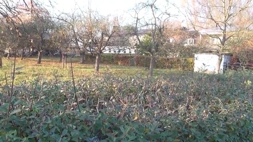 Amateur Outdoor German Grannies